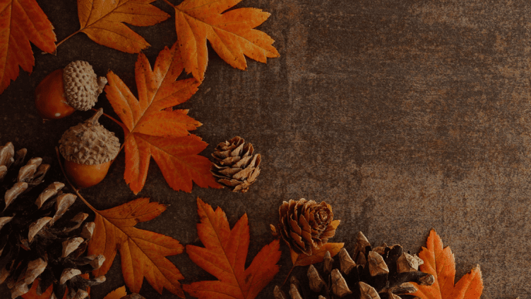 3.90% APY* 4-month promotional CD - Fall in love with your savings